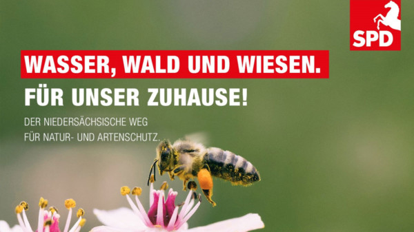Als Werbung für den Natur- und Artenschutz zeigt das Bild eine Biene auf einer Blüte